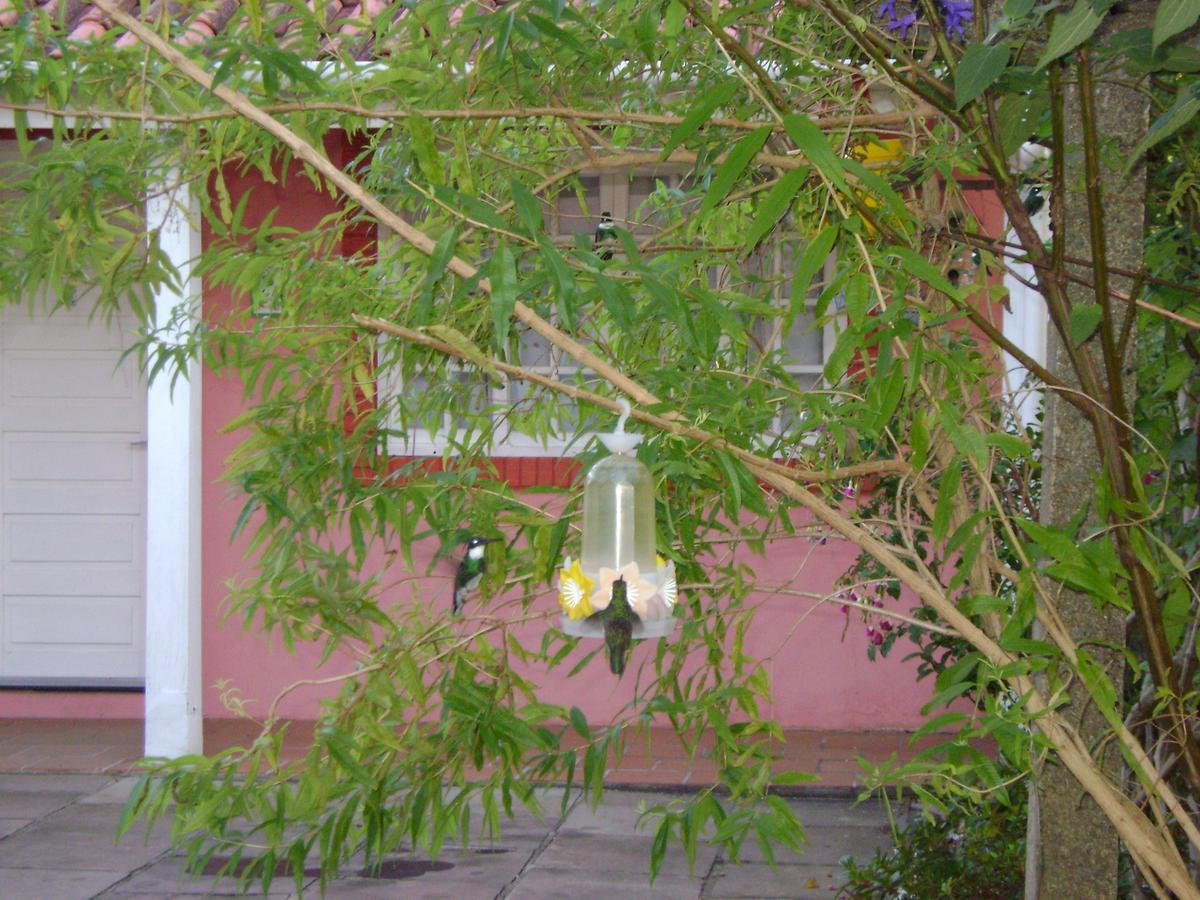 Pousada Beija Flor Gramado Exterior photo